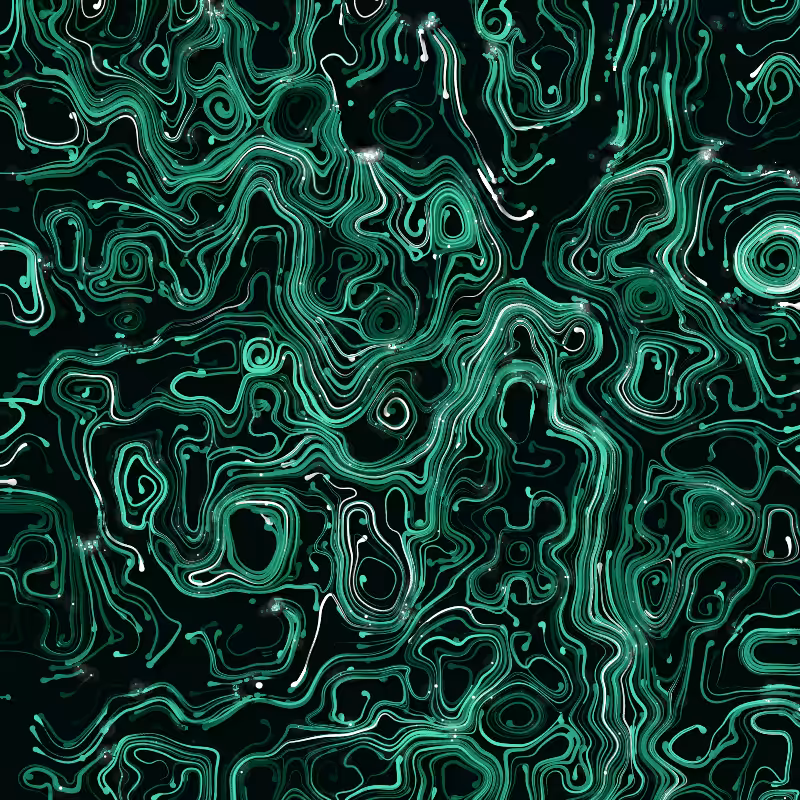 VINES #178