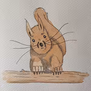 Squirrel