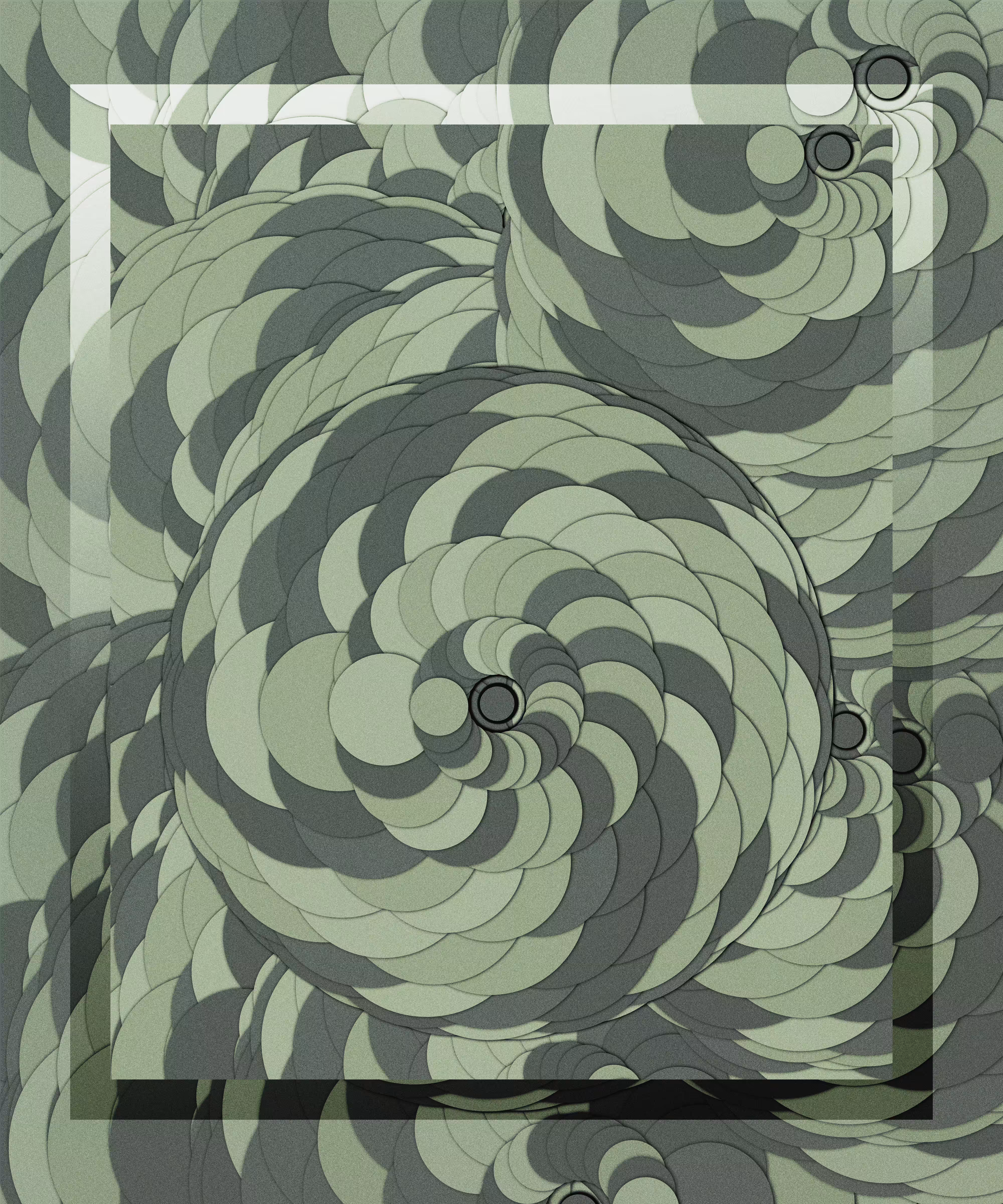 Cycloid 057