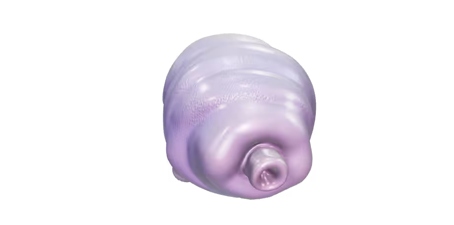 Tardigrade from Stream