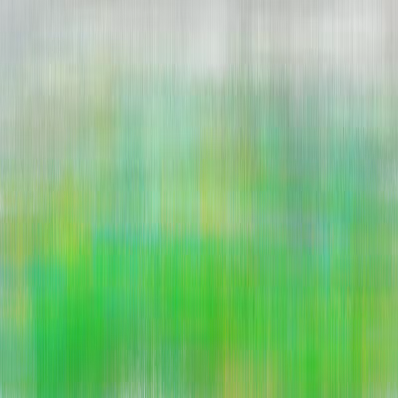 Hatch Field 001 #79