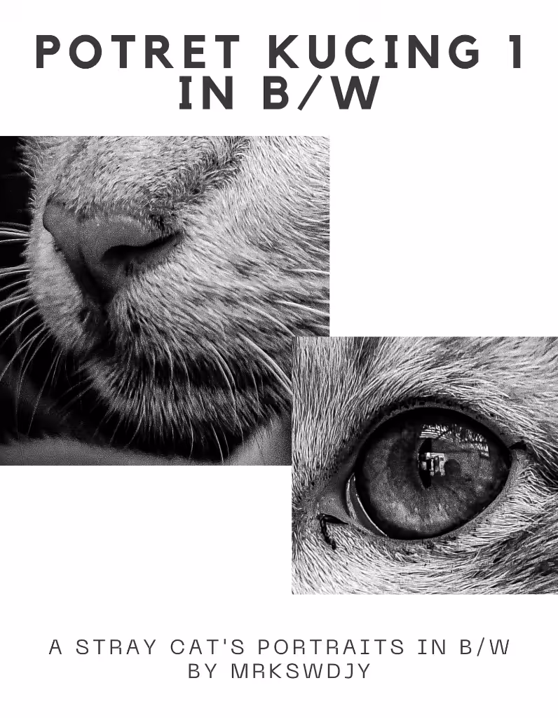 POTRET KUCING 1 IN B/W