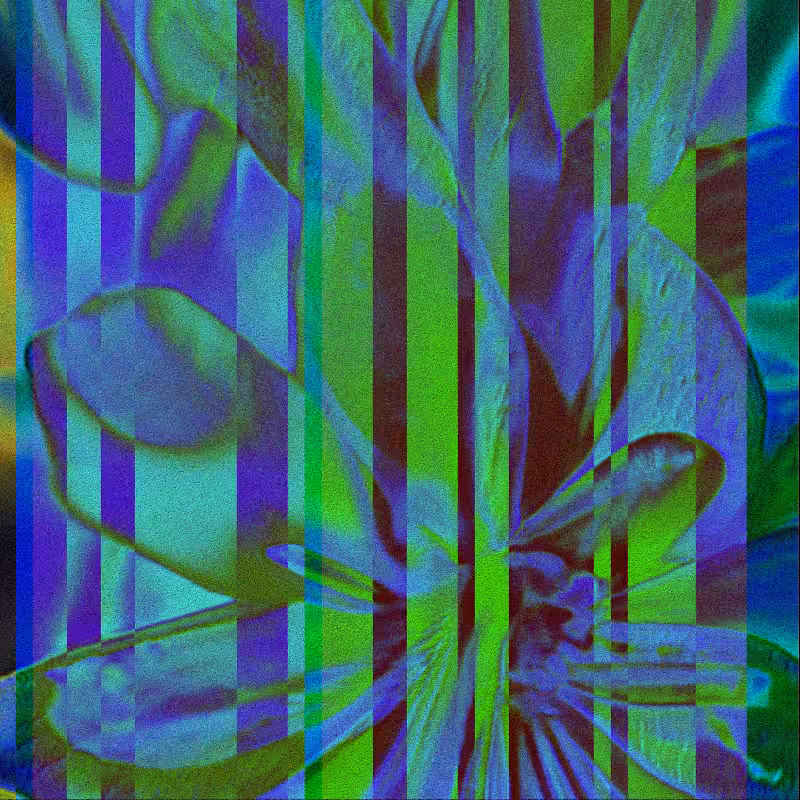 CLDCSMC #117
