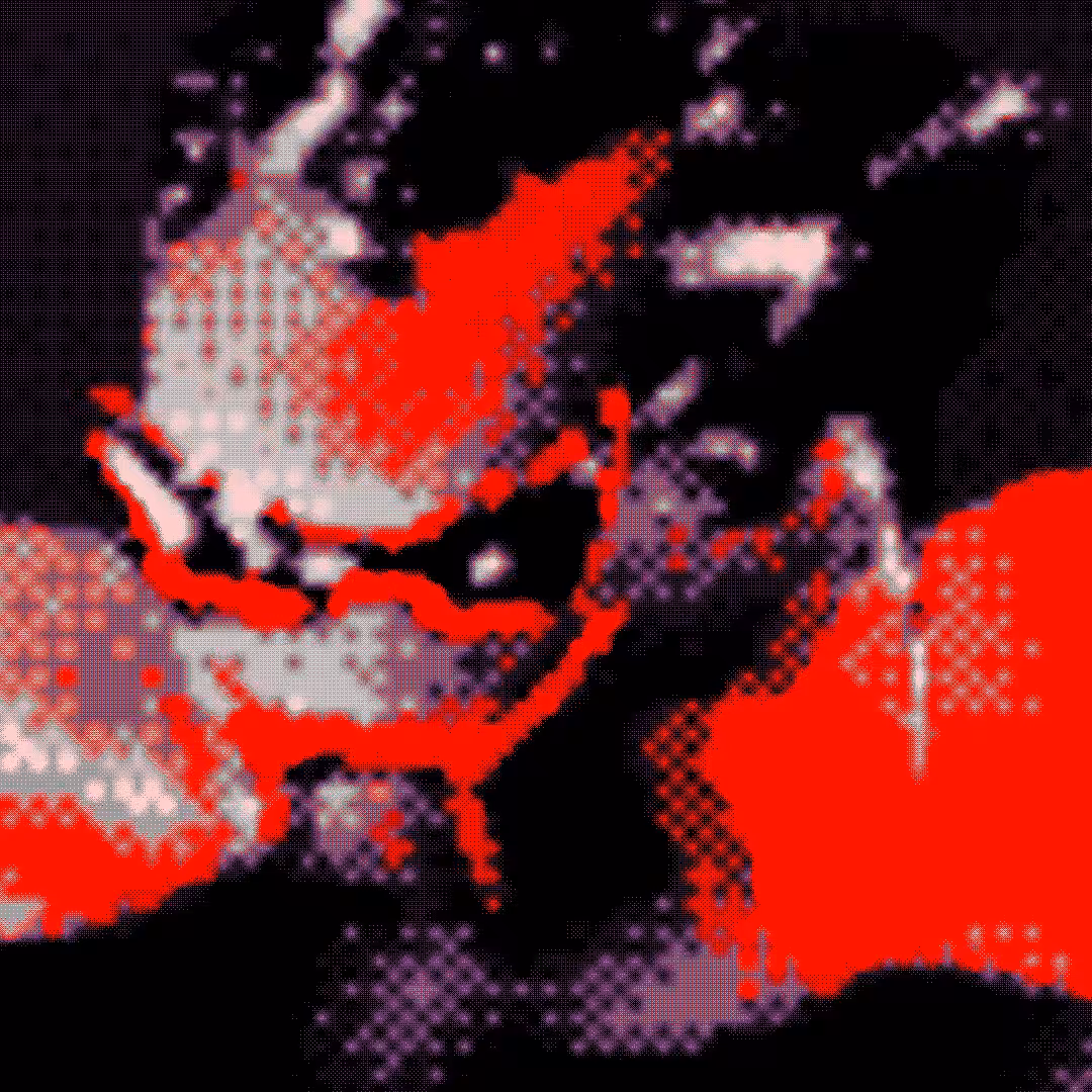 (BRUTAL-pfps) #2R R. Mortuarius