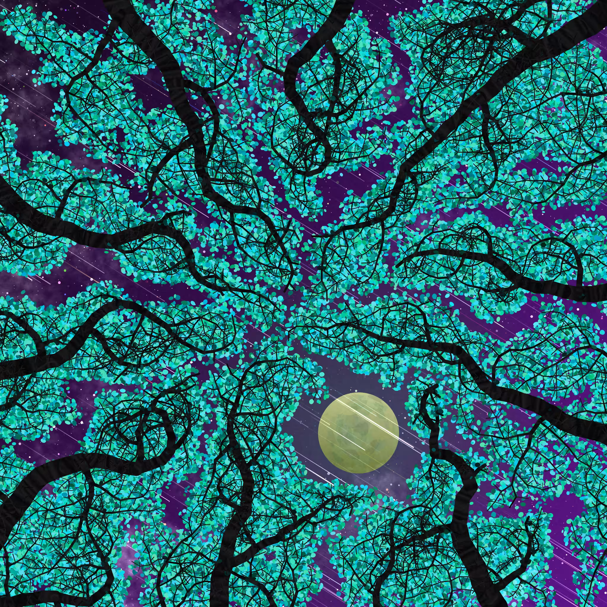 Tree Skyness #235