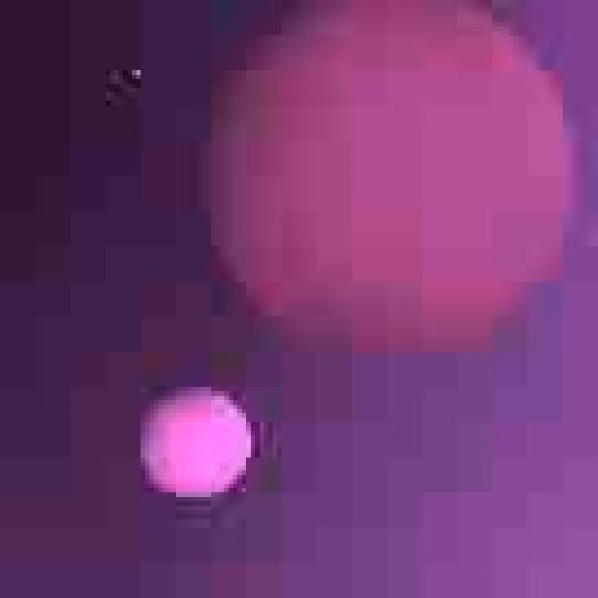 Orbit 684622098
