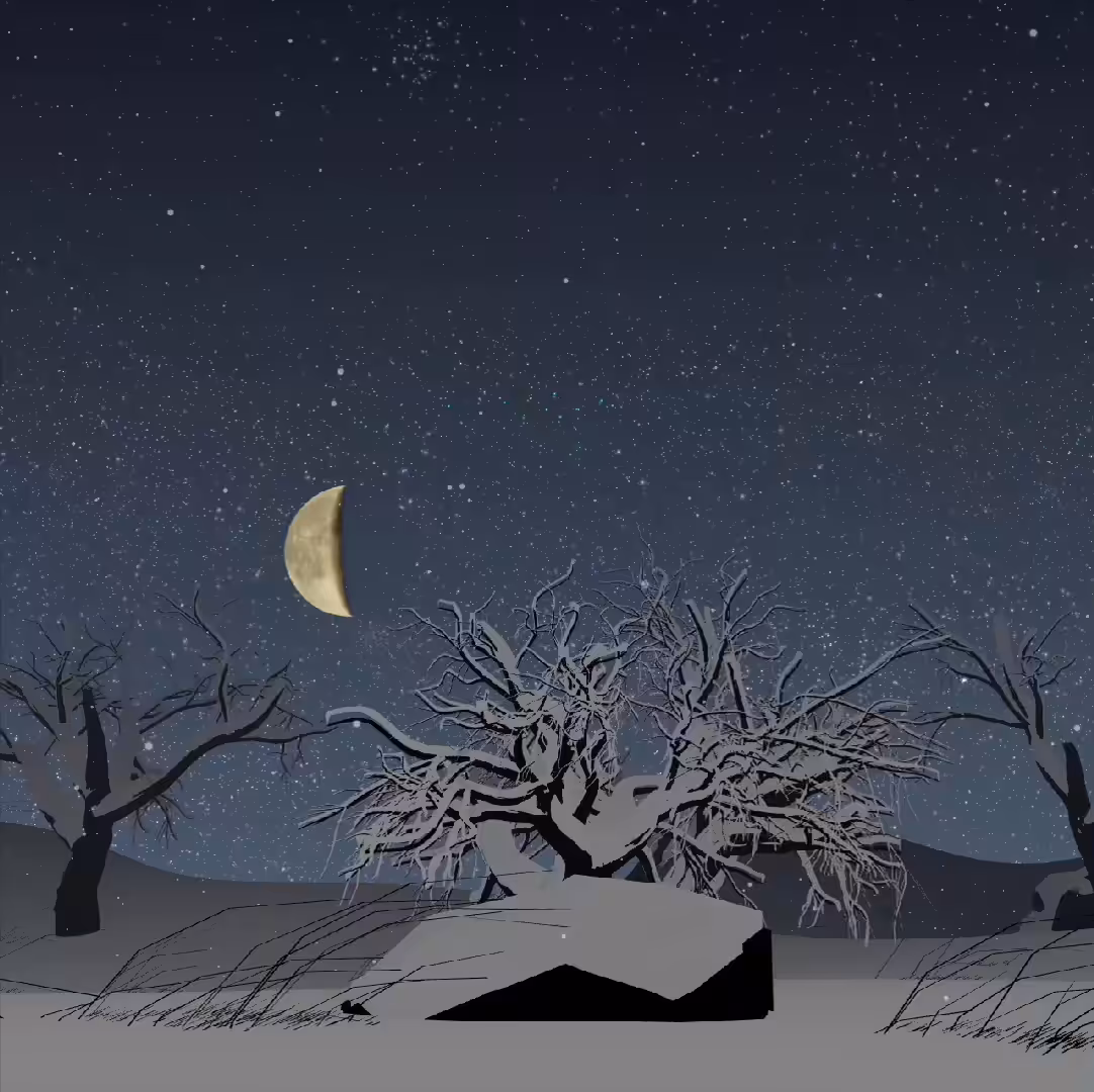 Snowy Night