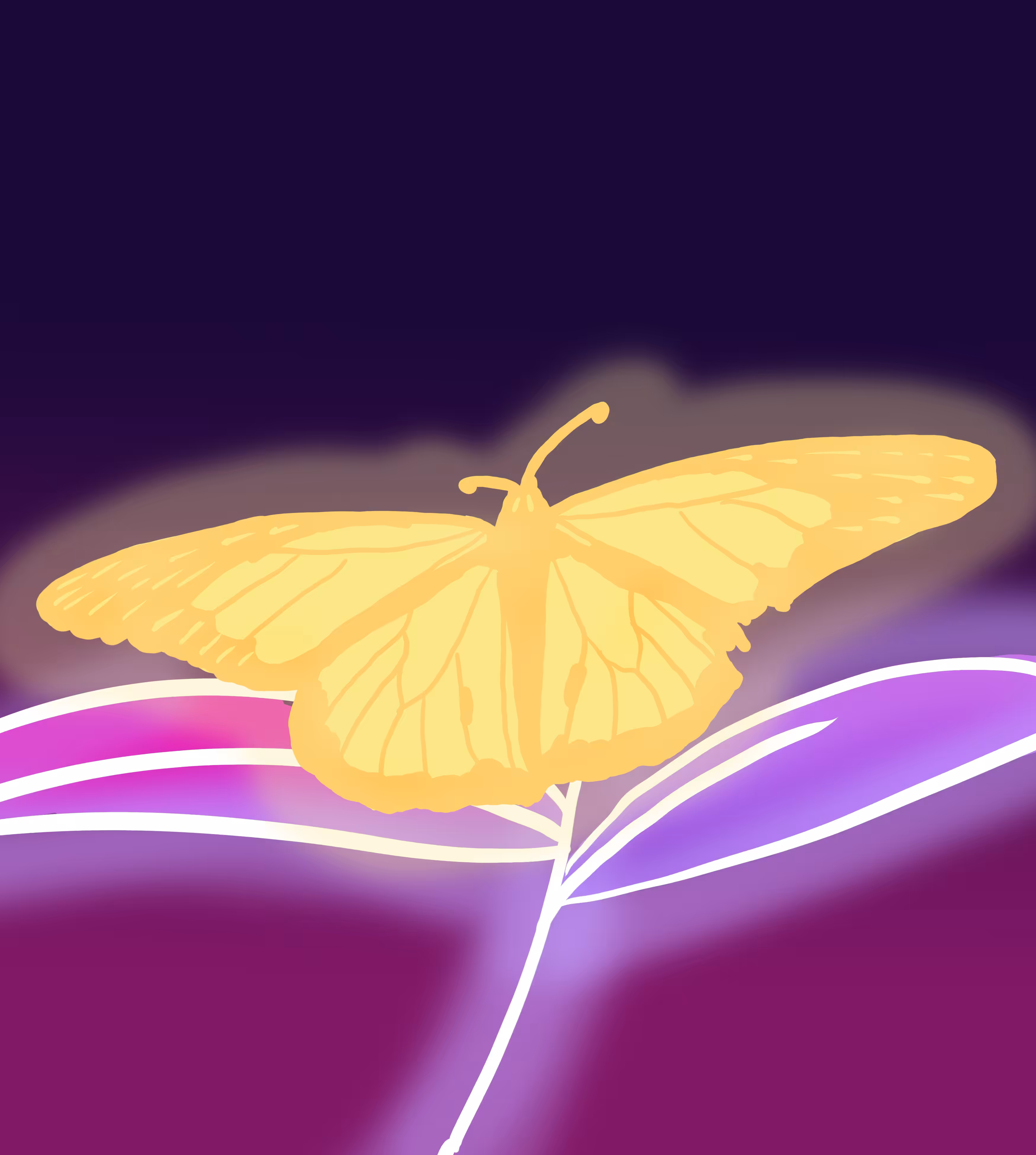 perch Light Butterfly