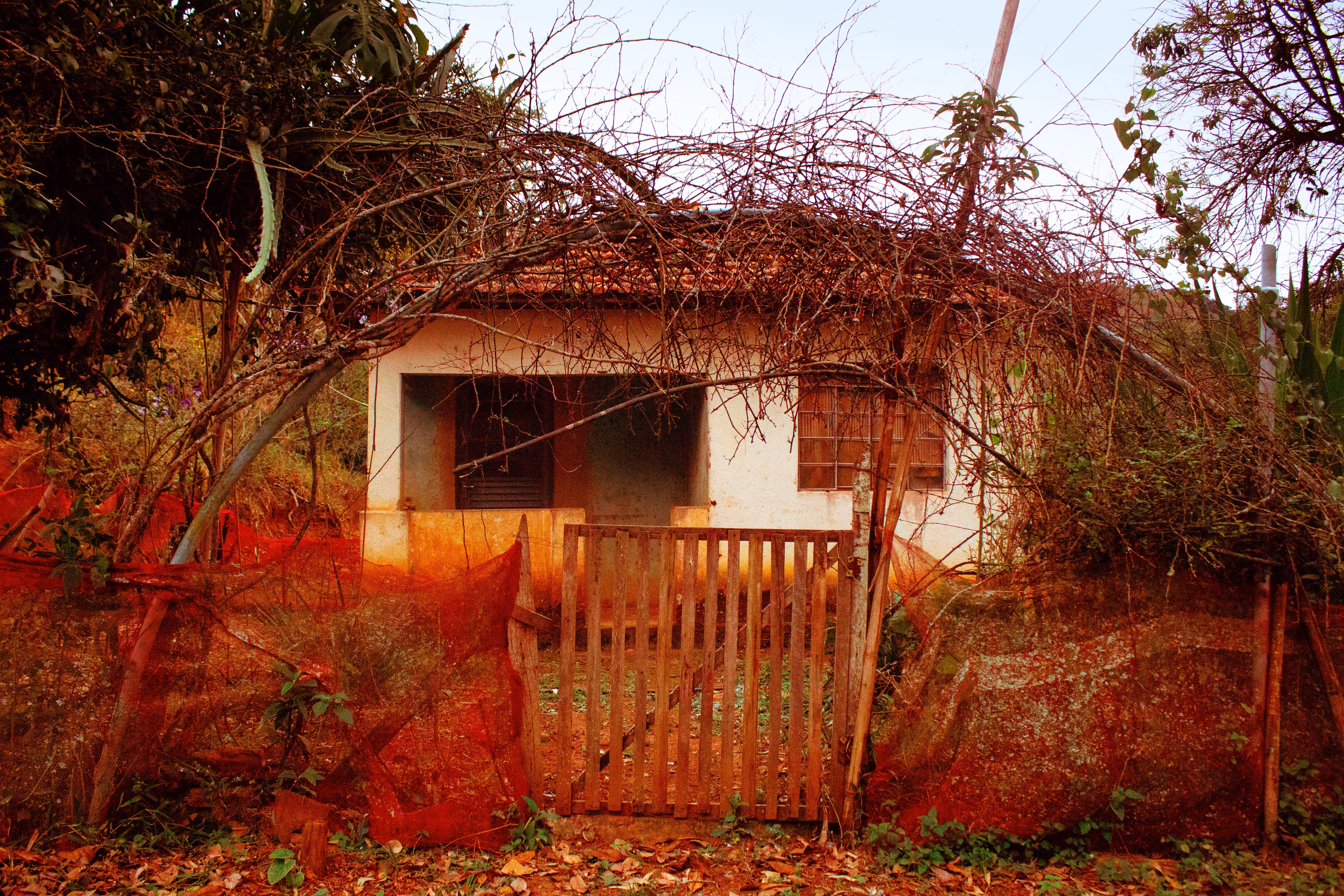 abandonadas I