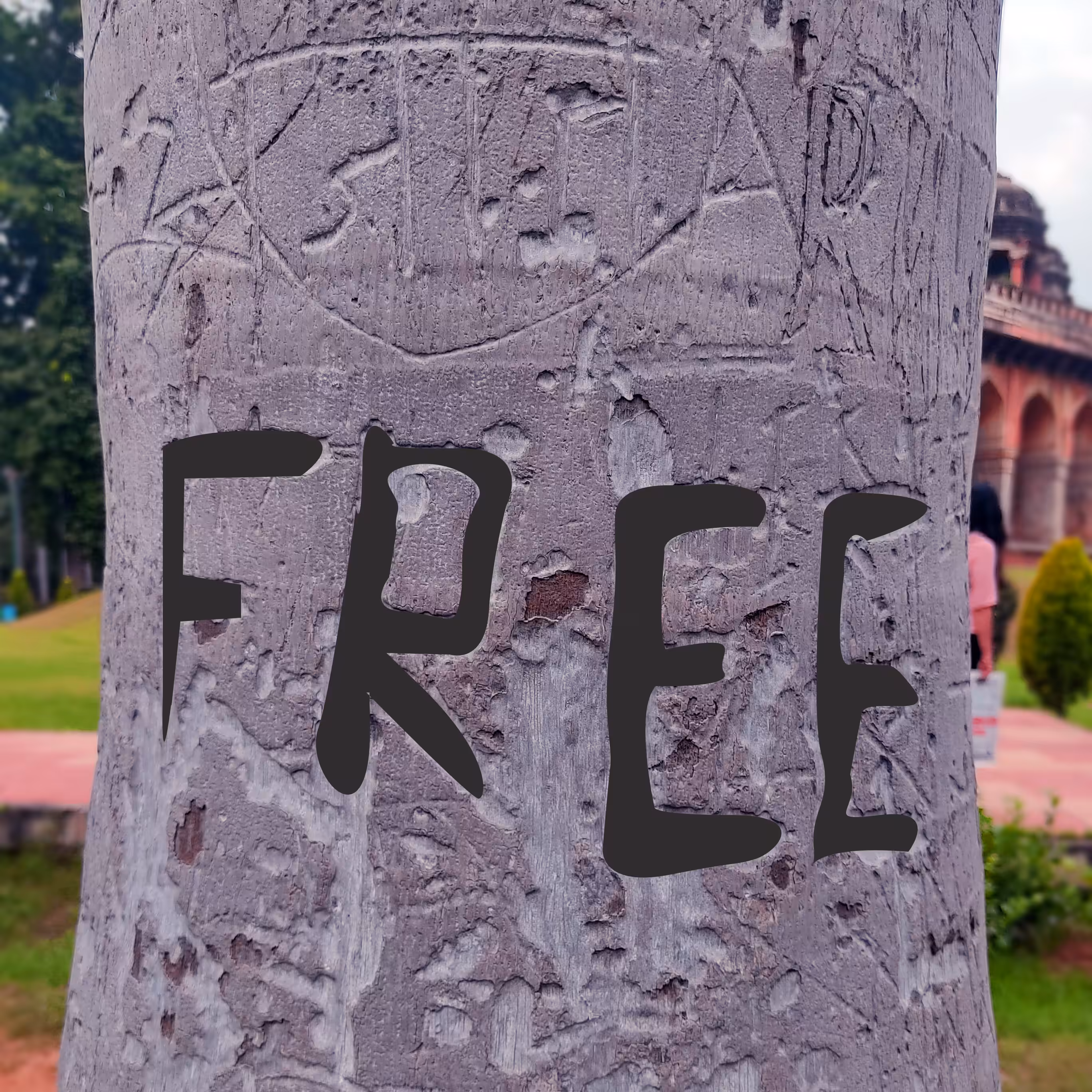 Tree Not Free X NFT