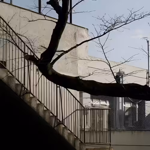 Wall is Liquid-3