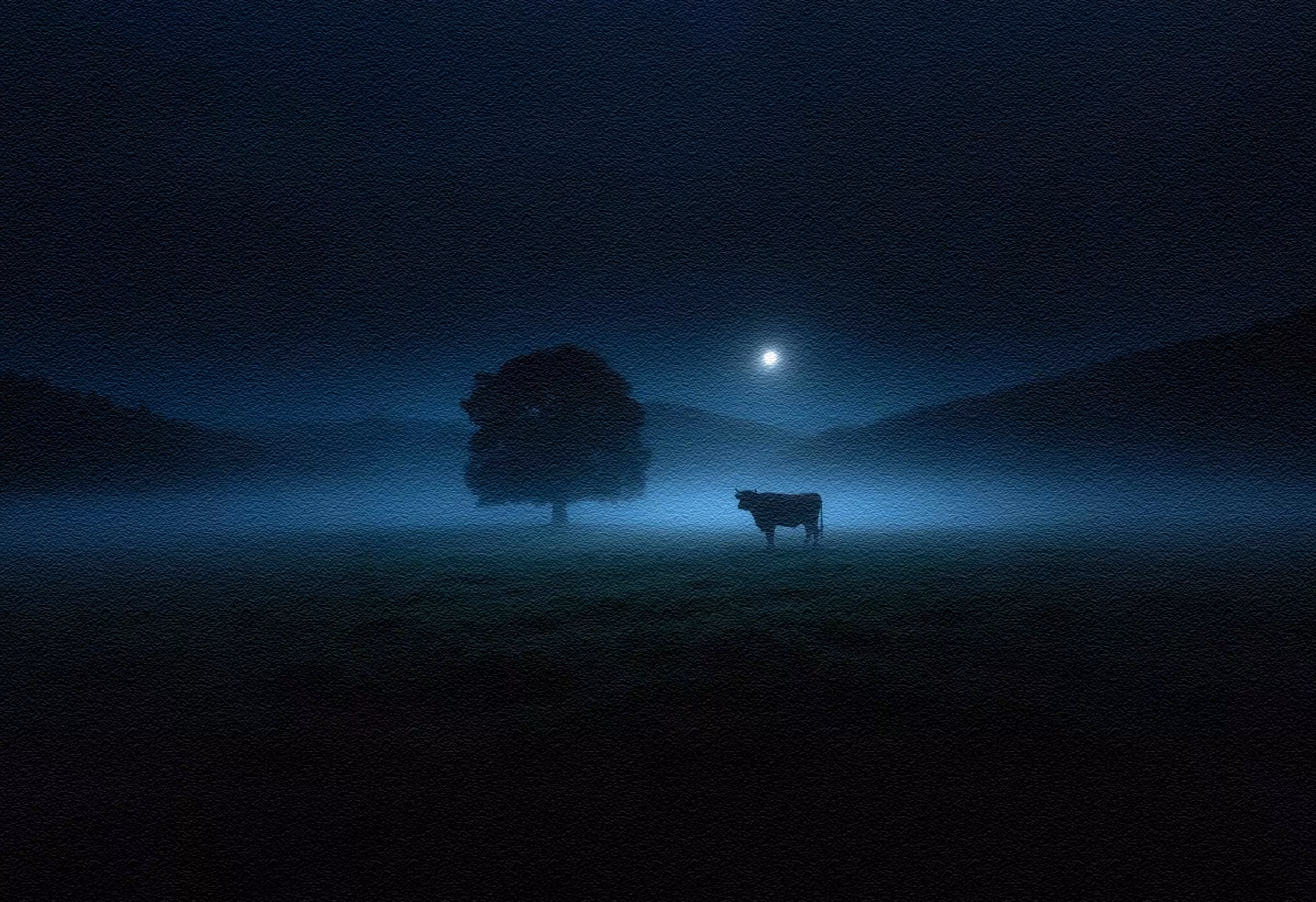 Twilight