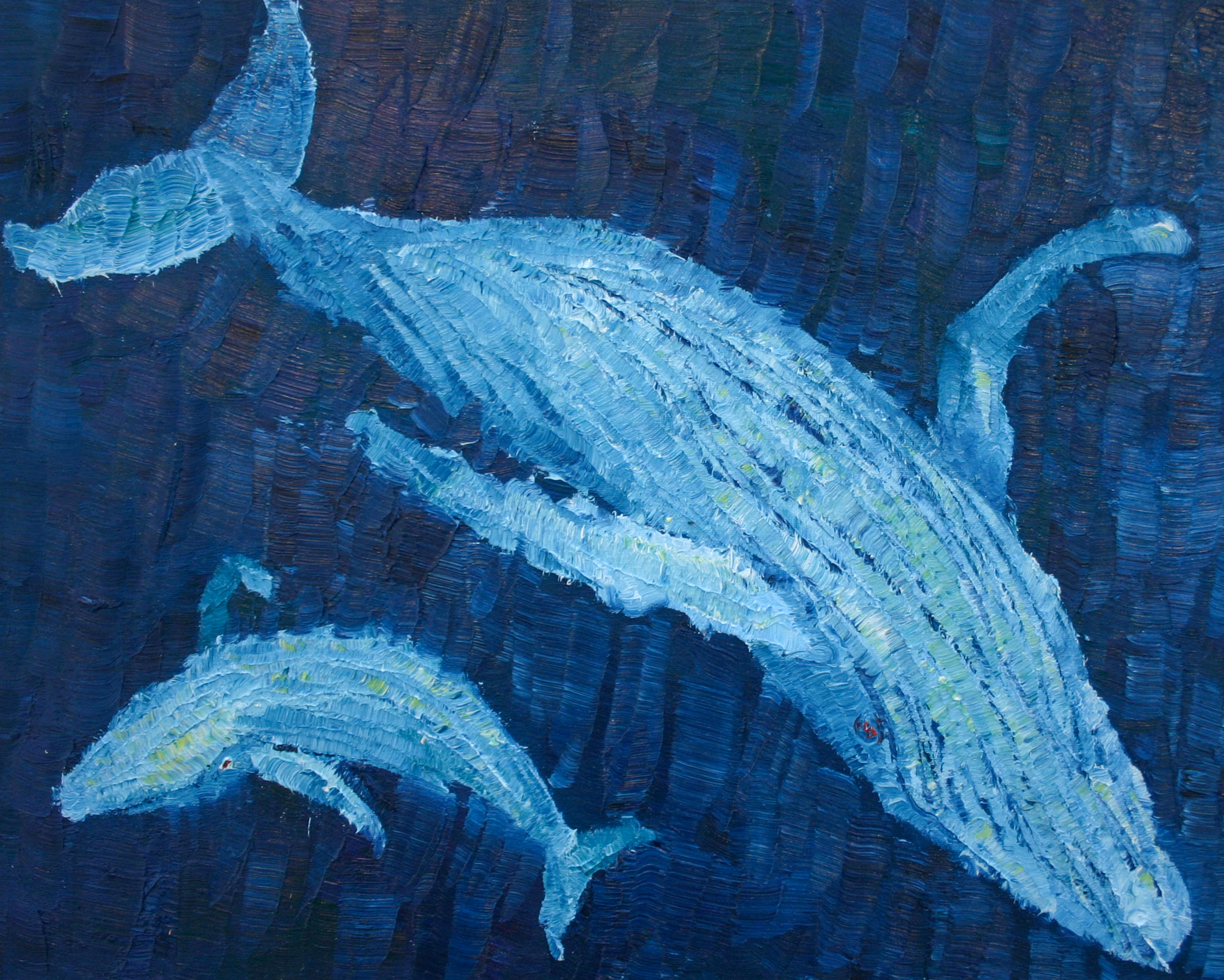 Migaloo and Calf Dancing