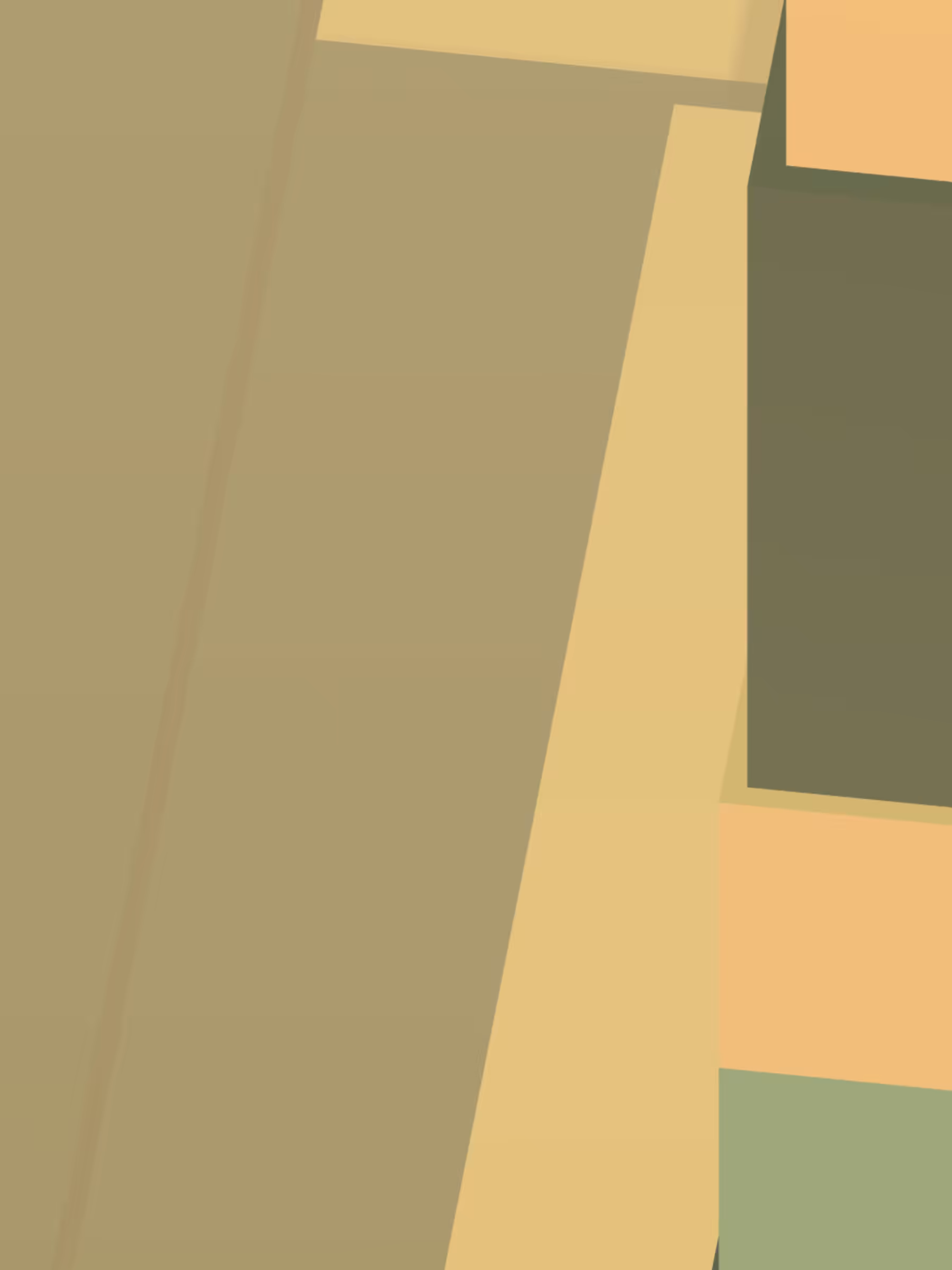 Democracity #5