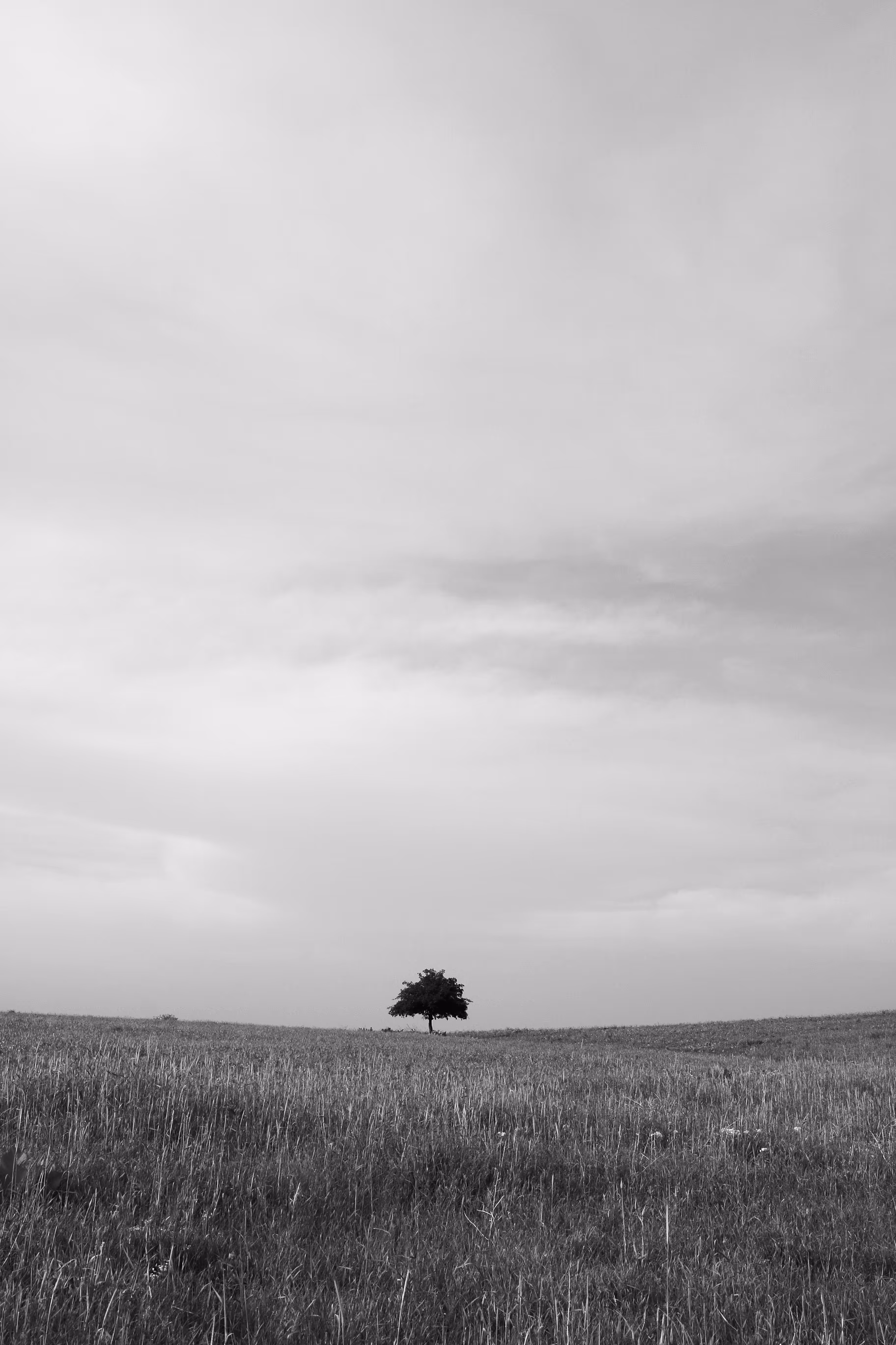Alone