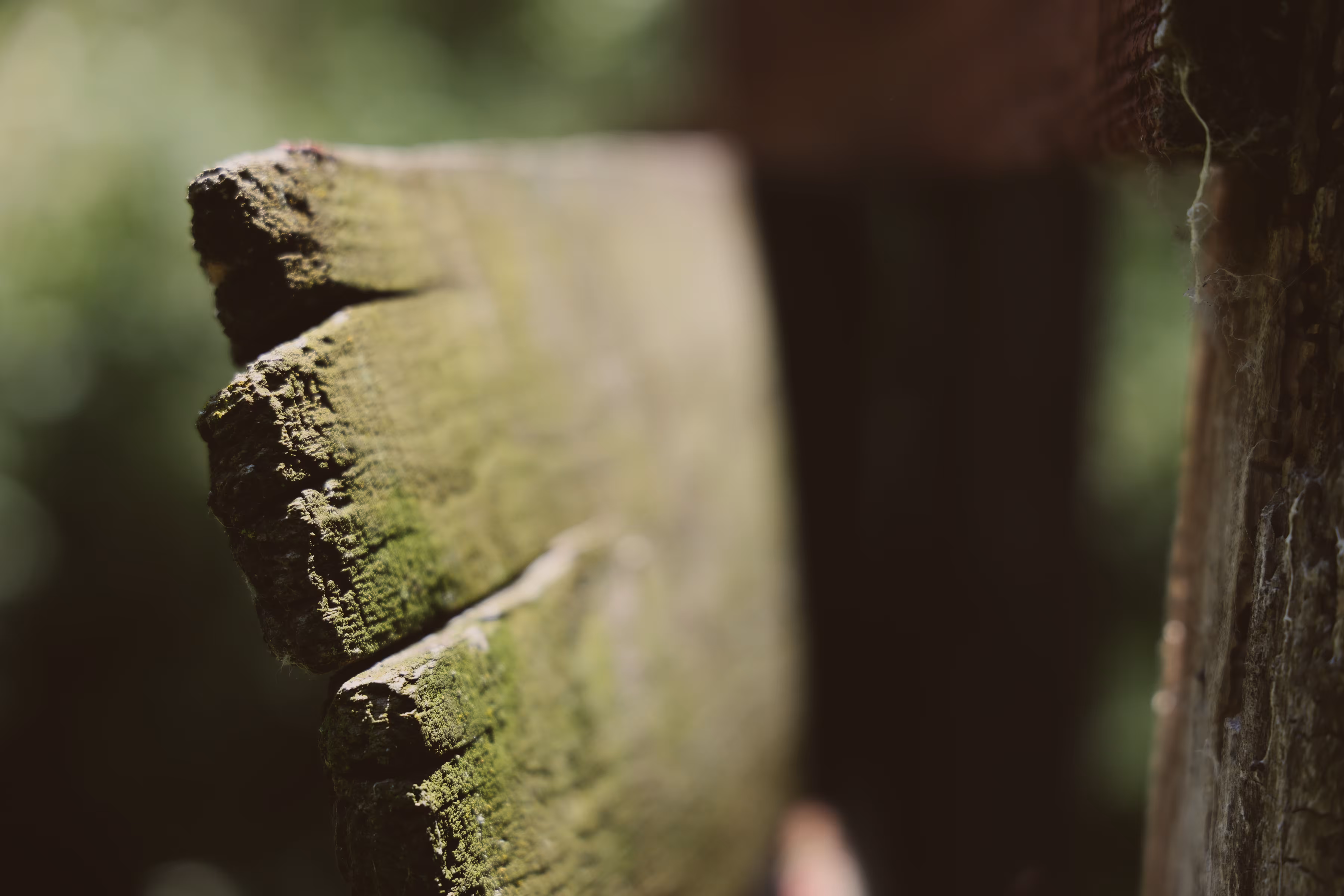 _natural decay