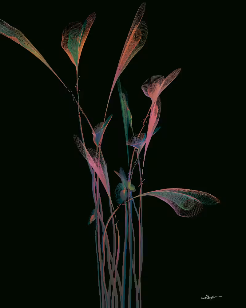 InBloom #118