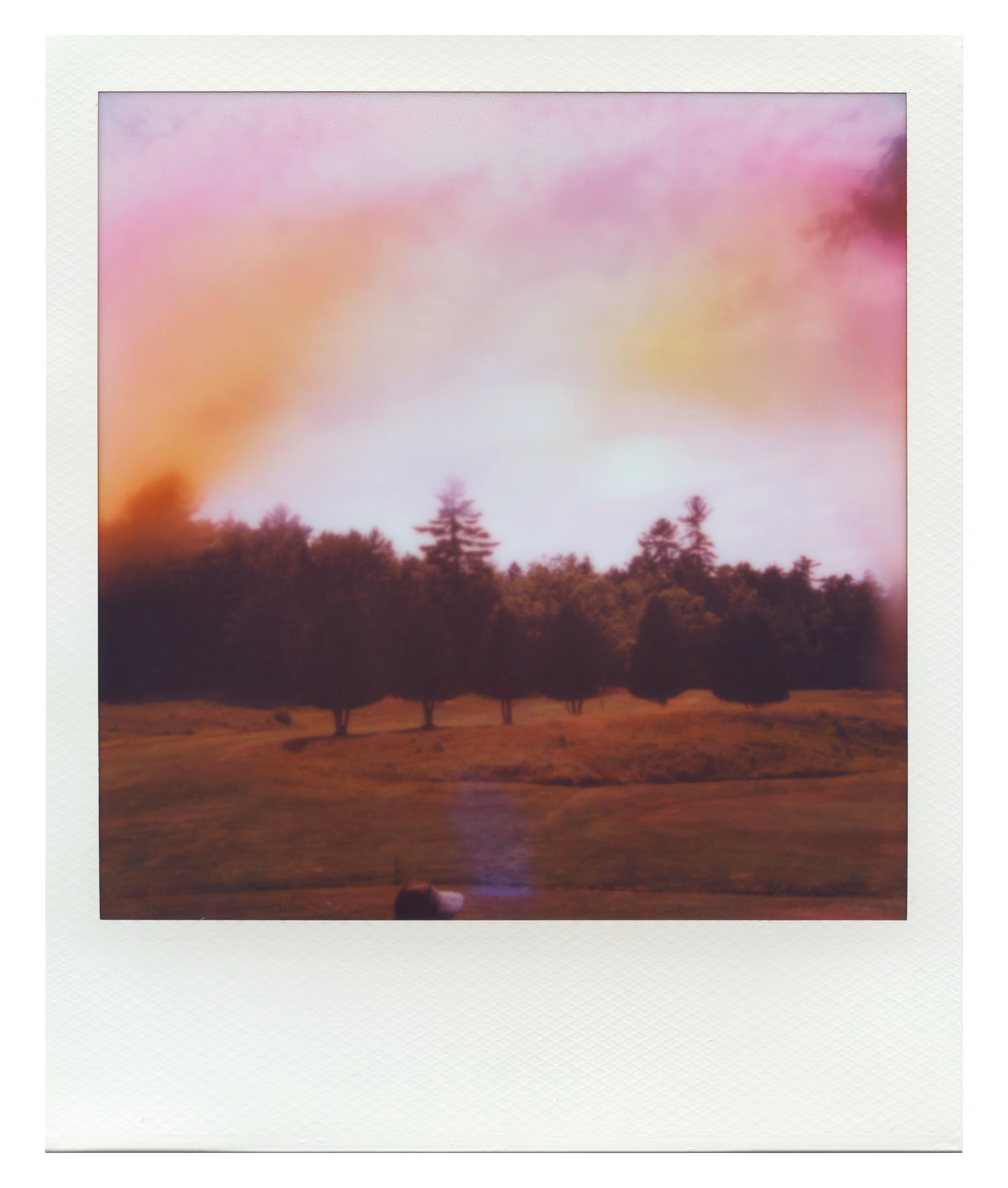 Endless Summer  |  7  | Manifestation