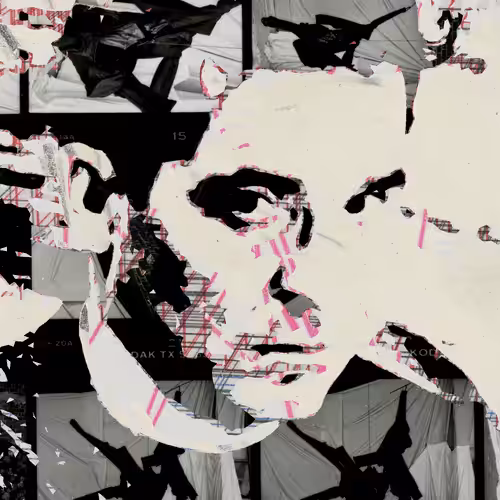 THE GENERATIVE PORTRAIT COLLECTION OF ROBERT MALLARY: Generative Portrait of Robert Mallary #45