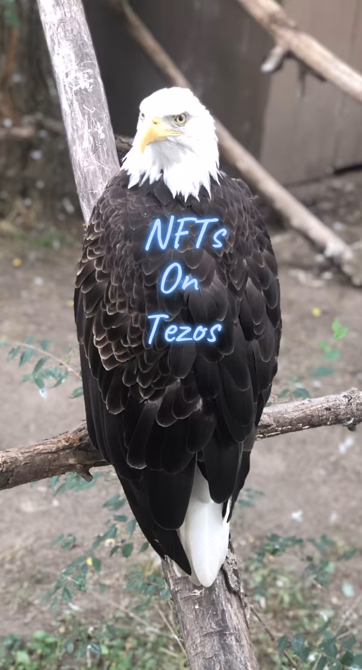 NFT On Tezos Promo