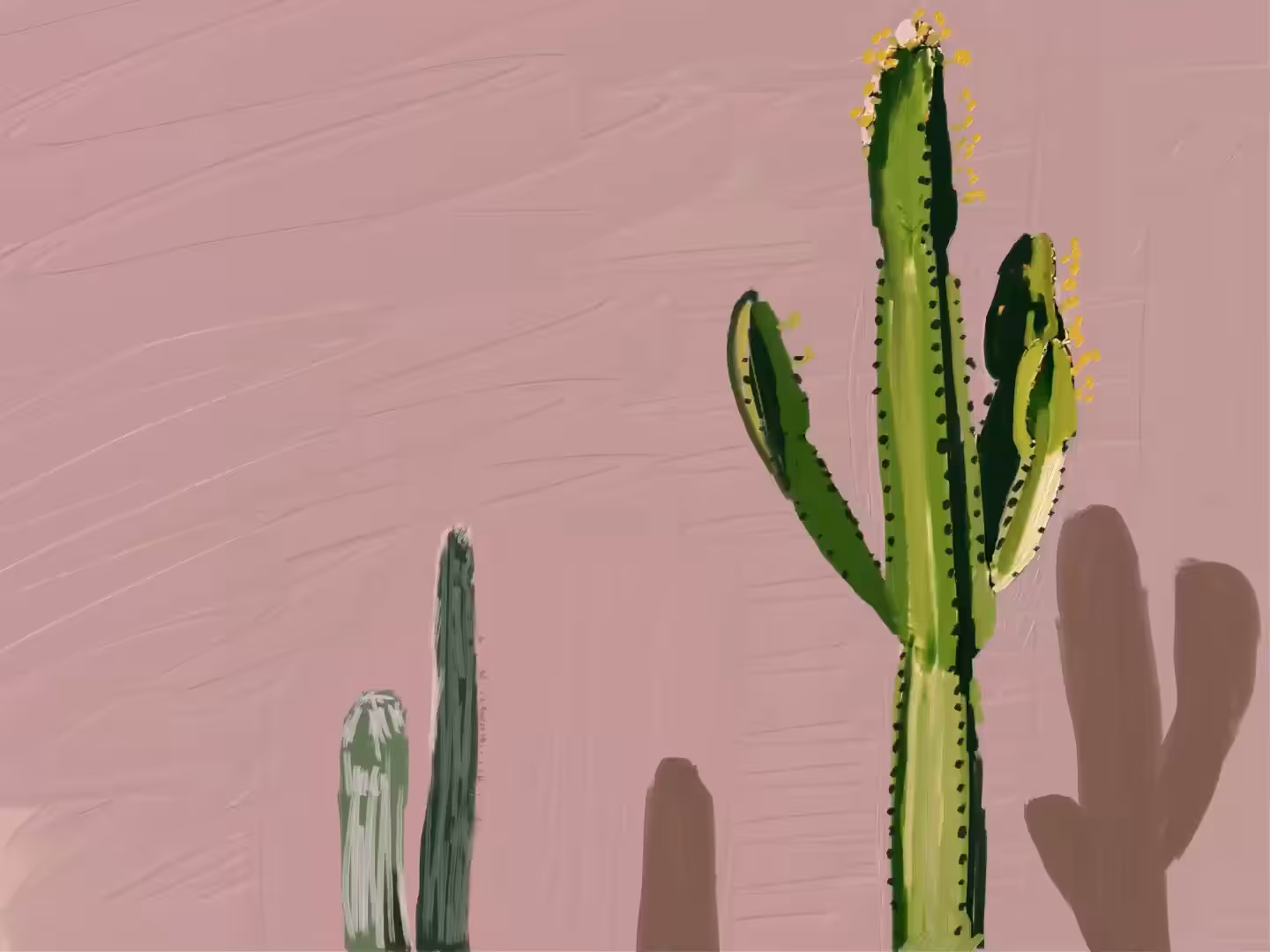 Cactus for a Friend  010101010101