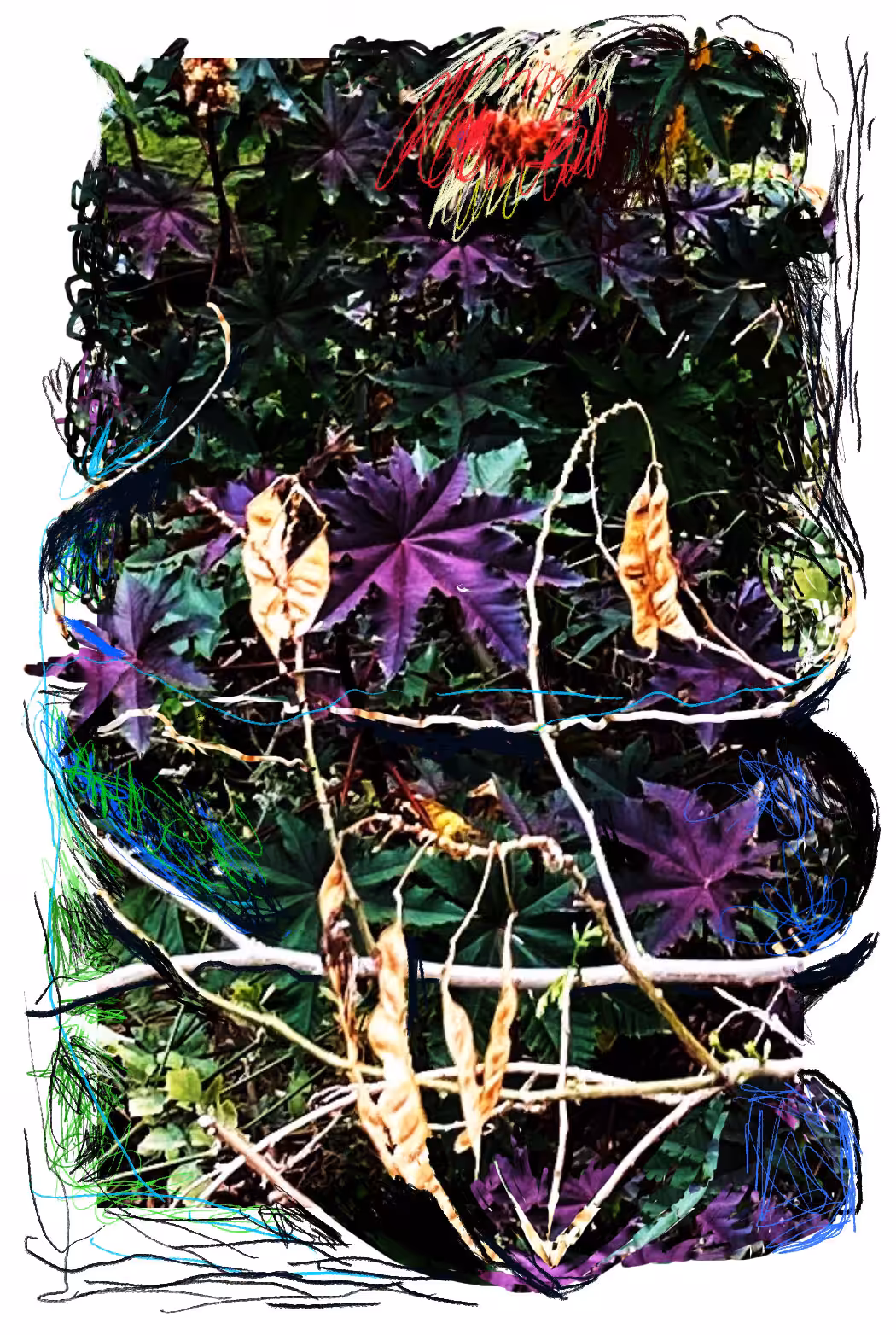 "night jungle"