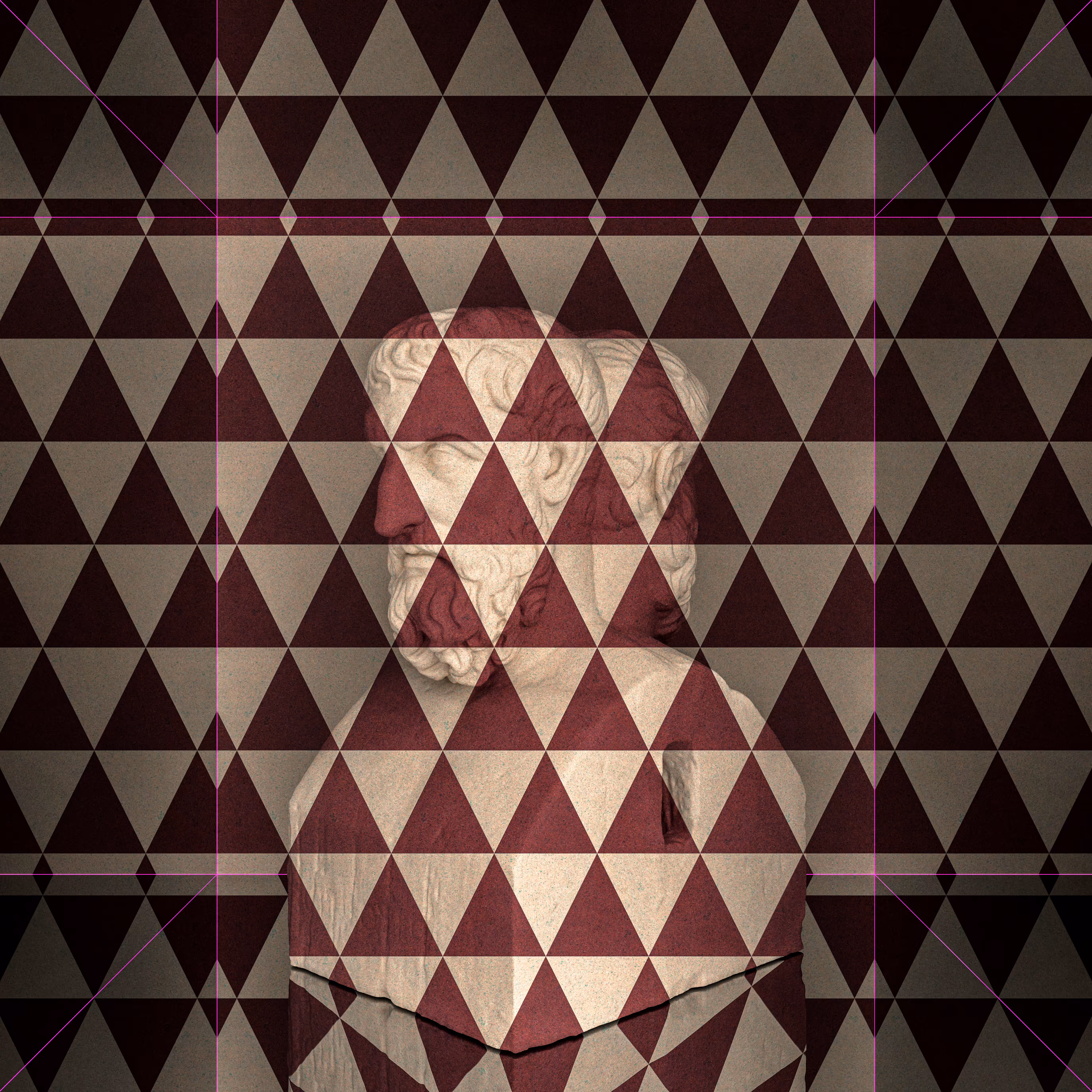 Kamaleonte_No.05