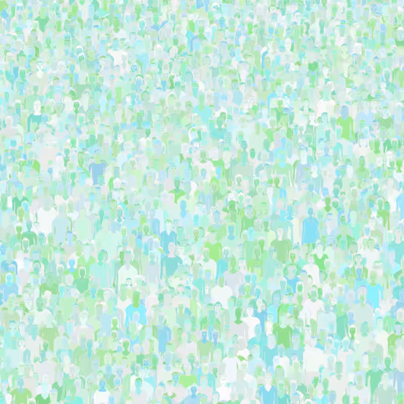 Crowds #78