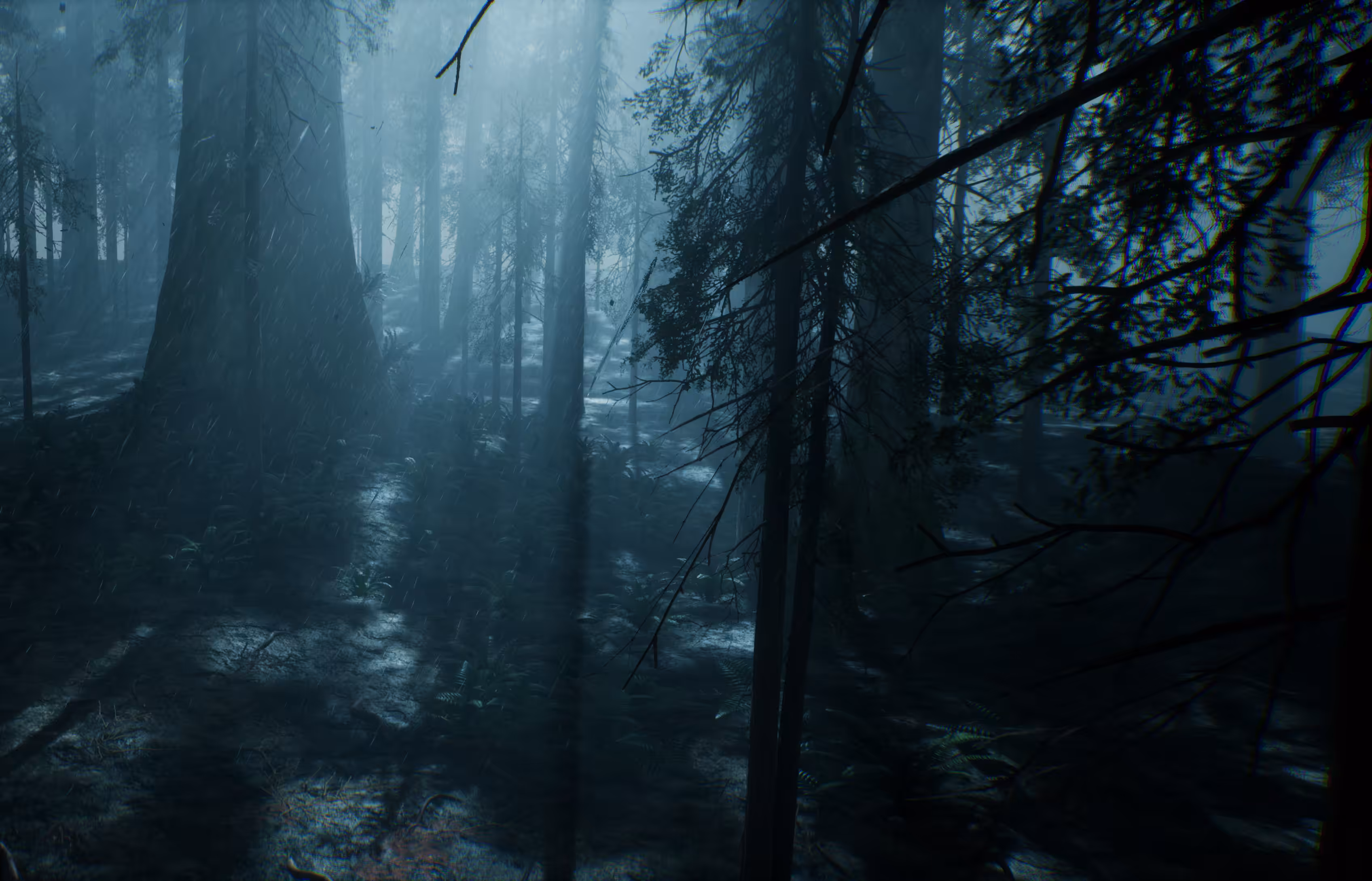 The Dark Forest
