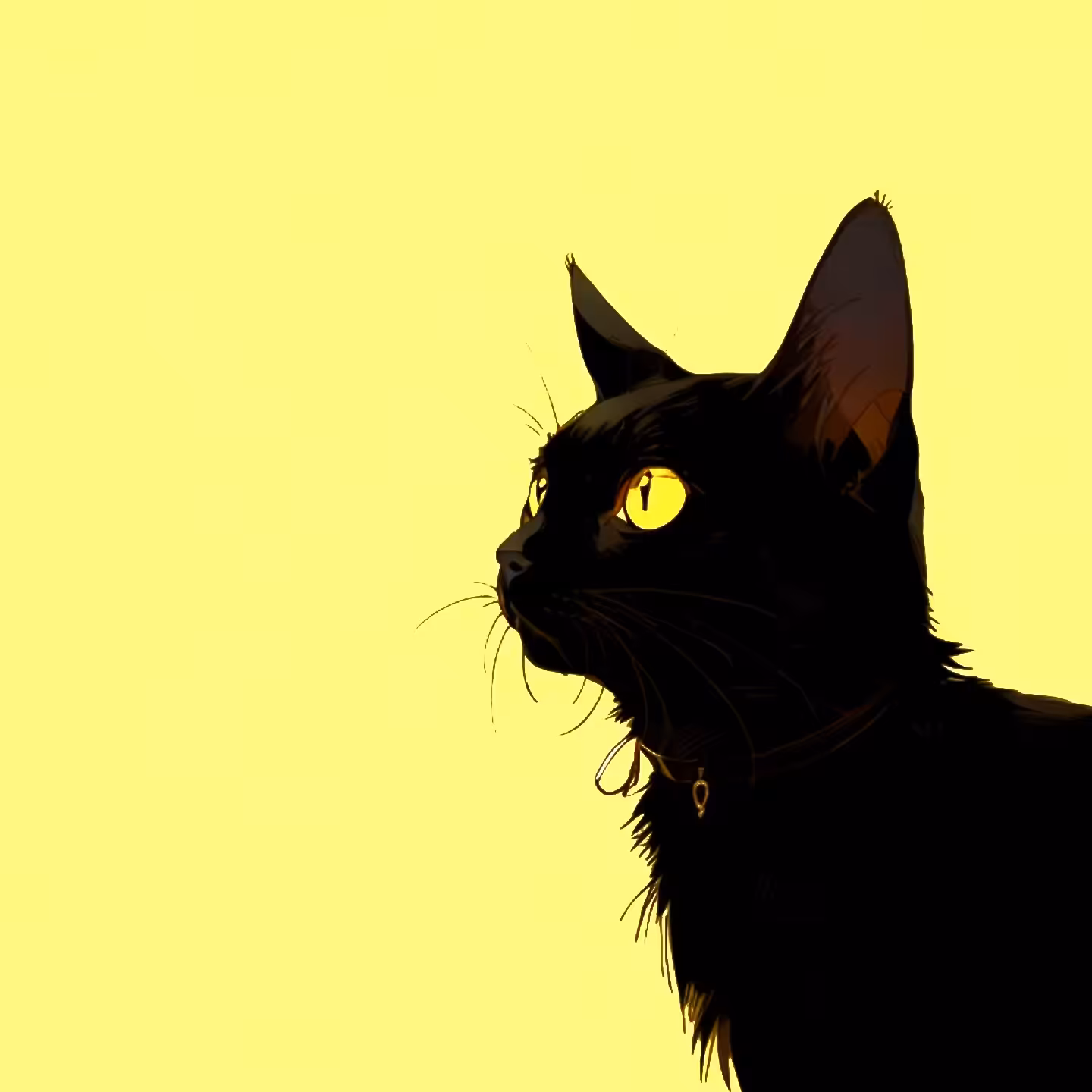 😺