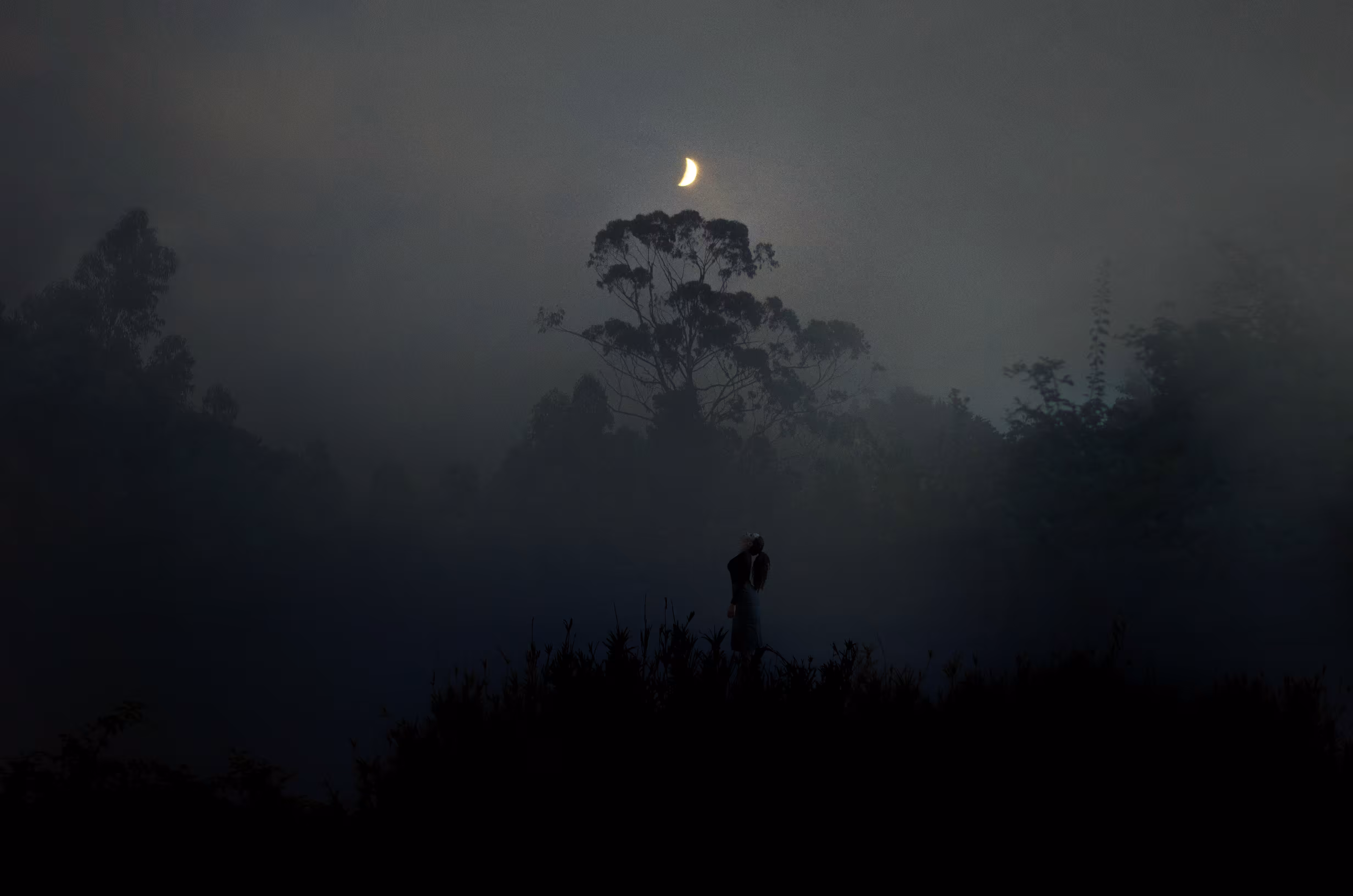 Wolves and The Moon