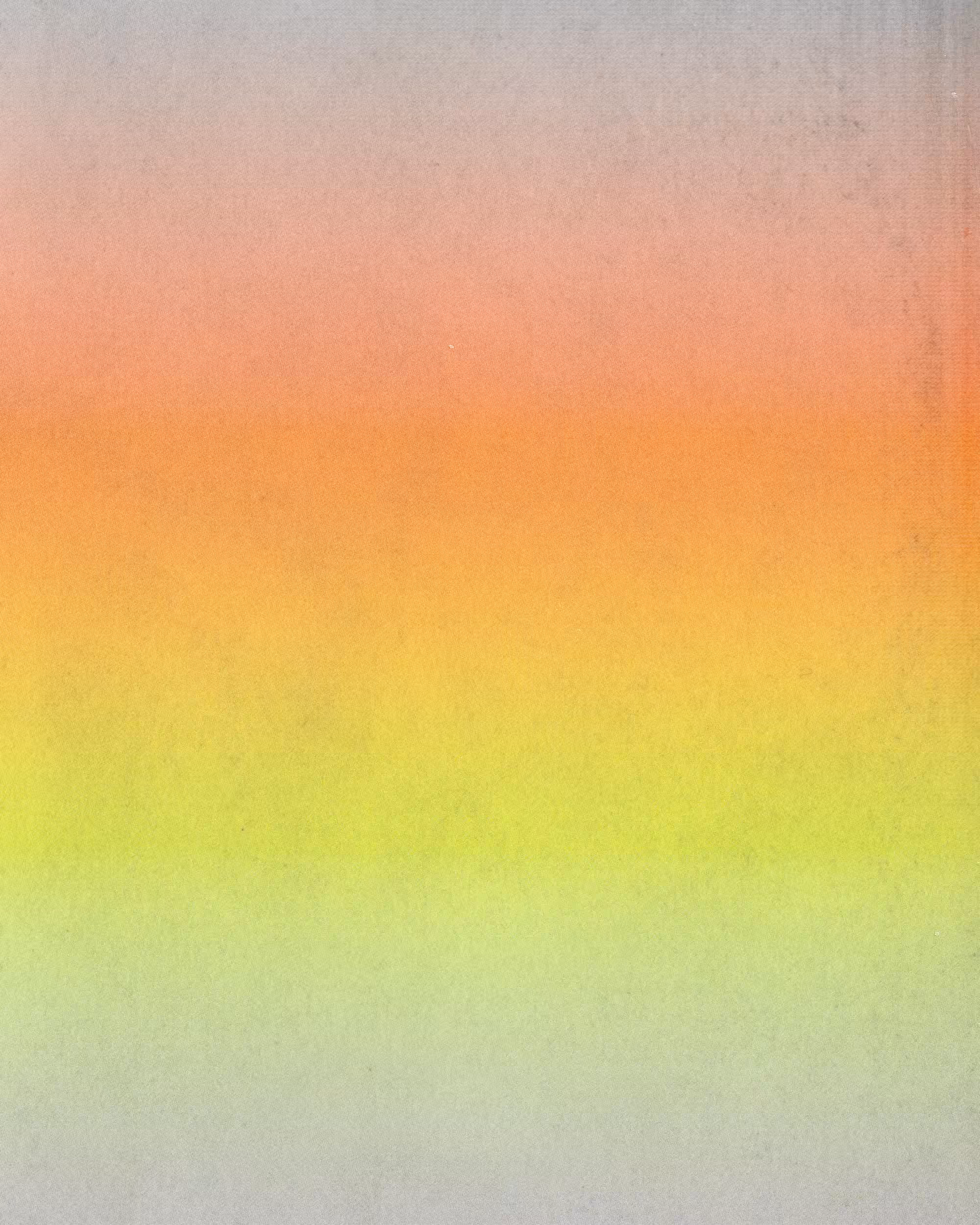 SLIMESHOP - Linear Gradient - #1843