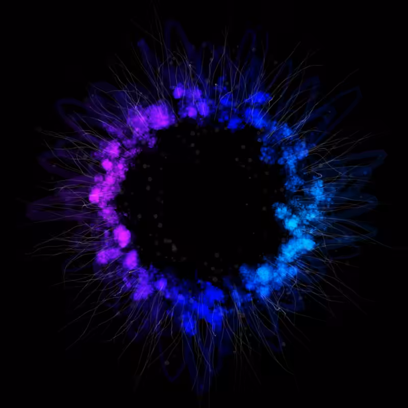 Ring Nebula #1