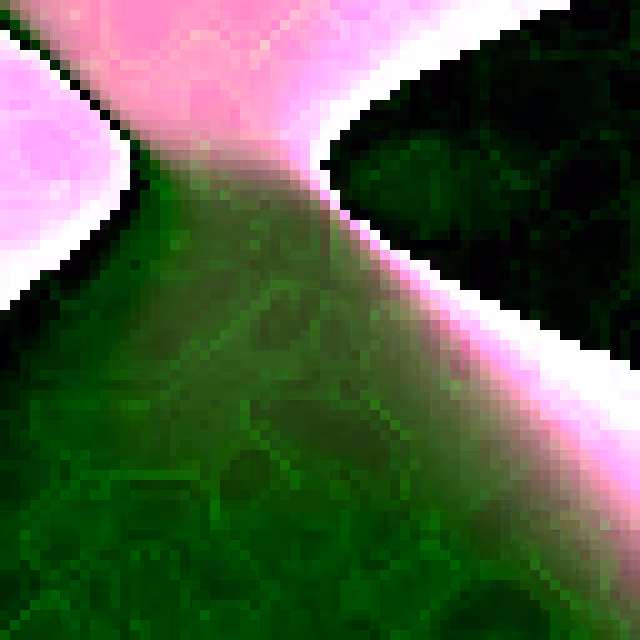 the reliquary: Relic 0xD1DFD4