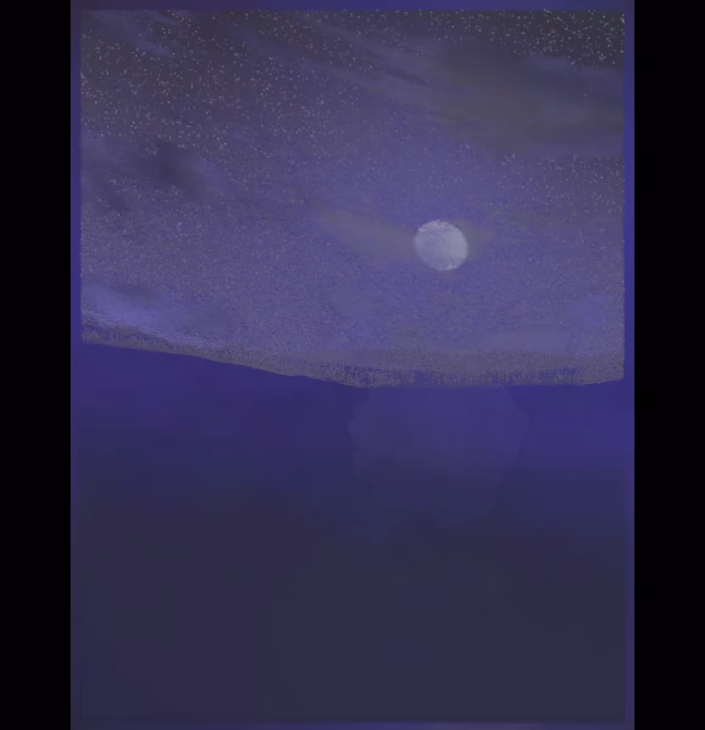 Island Mist #416