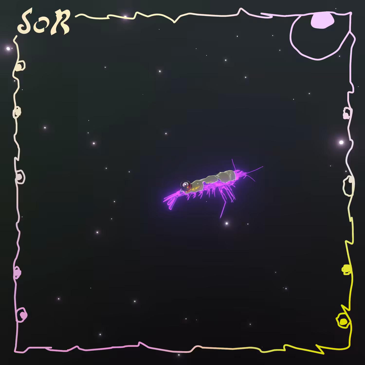 Shrimp #501