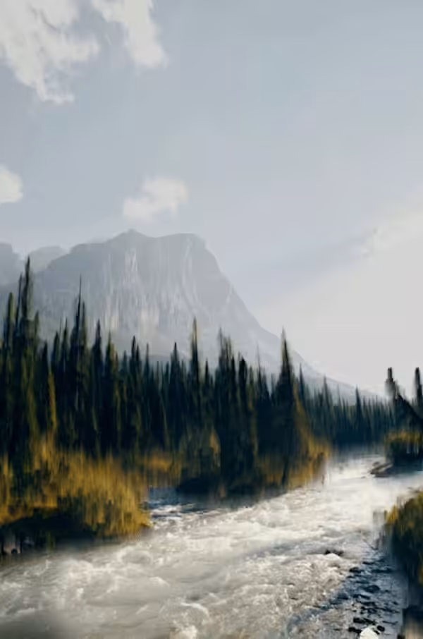 The River