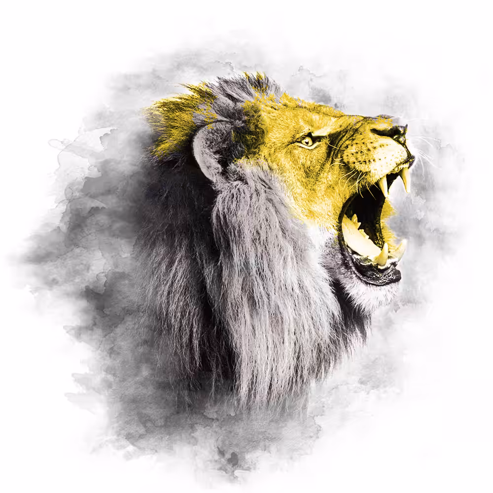 YELLOW SERIES - LION