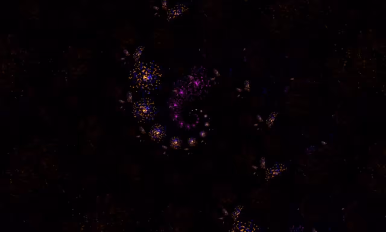 Fractal Fireworks