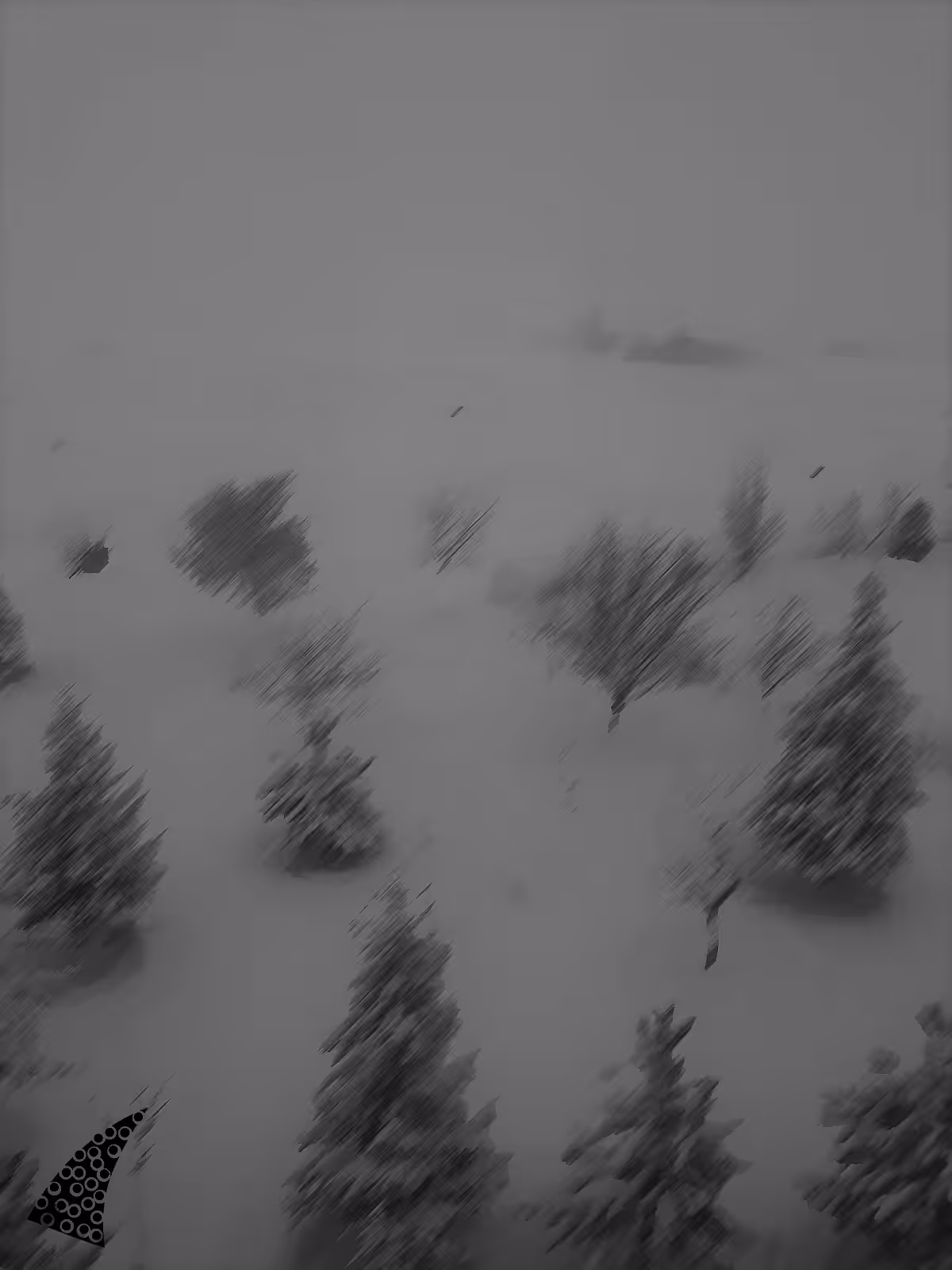 Winter White