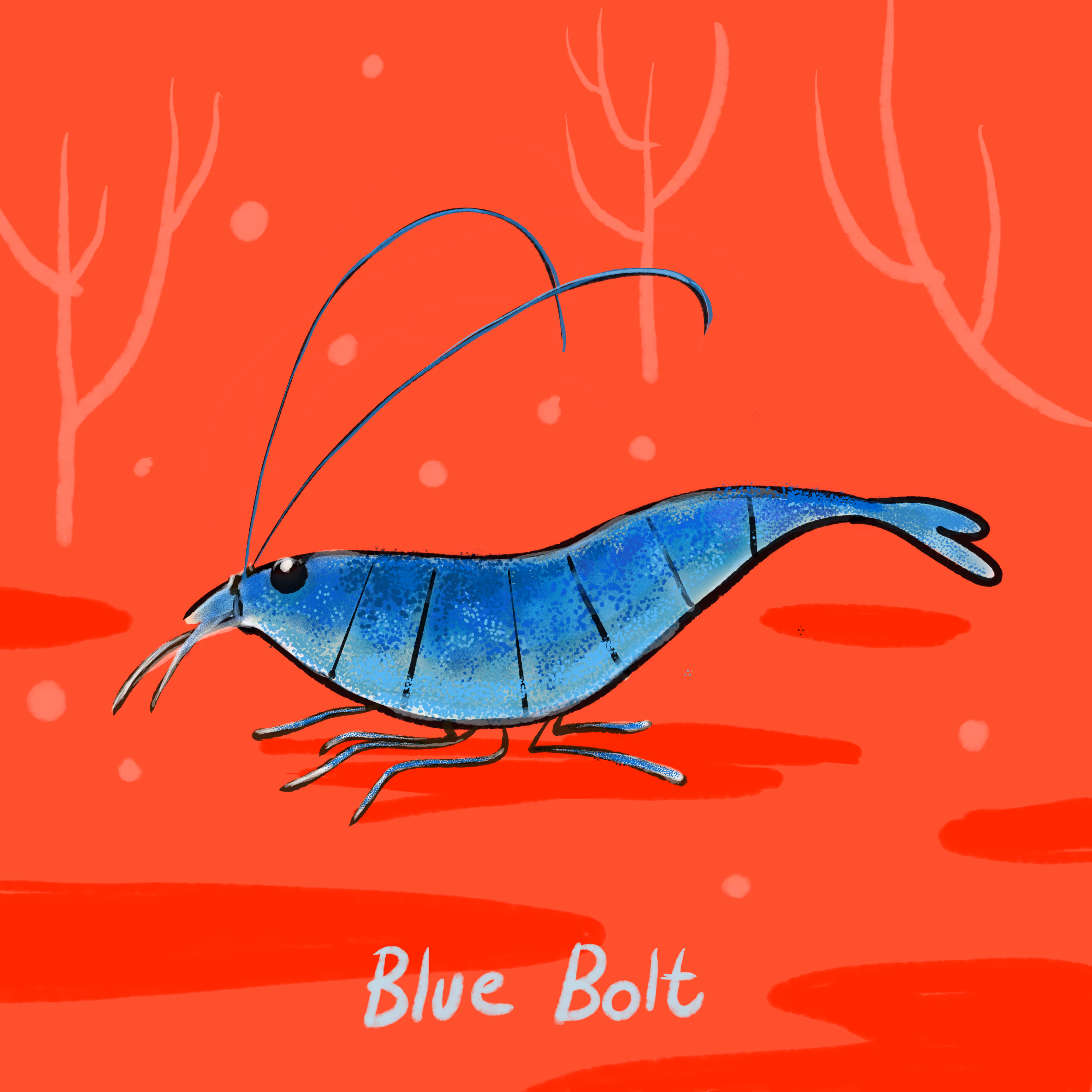 Bluebolt