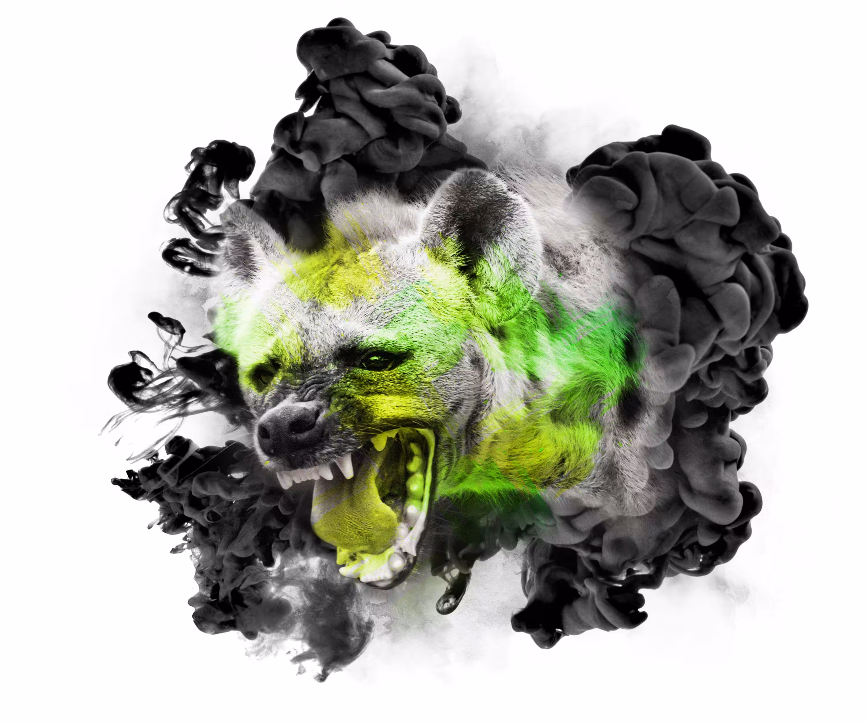 The Animal Kingdom Collection: VENOM ACID - HYENA