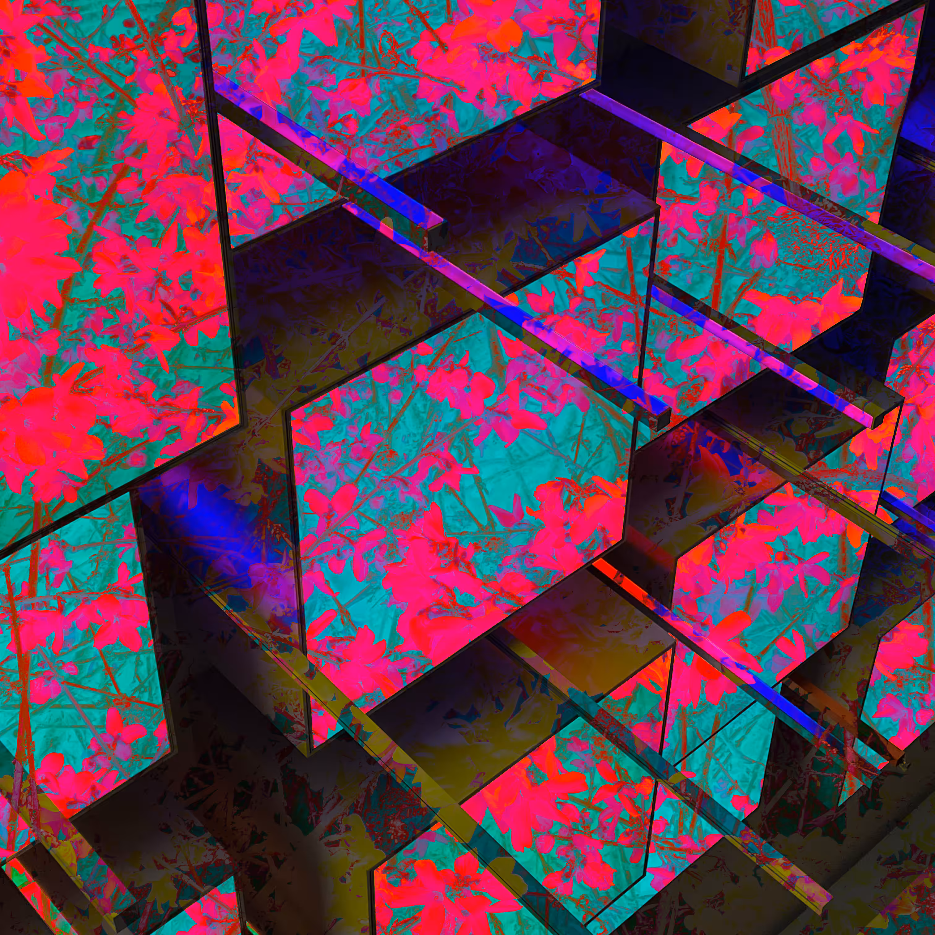 Archispora #2