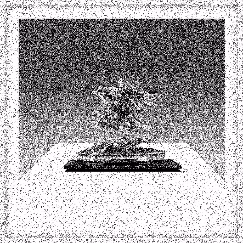 Bonsai Bonanza #433