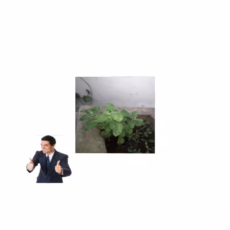 ART BASIL 2022 #4