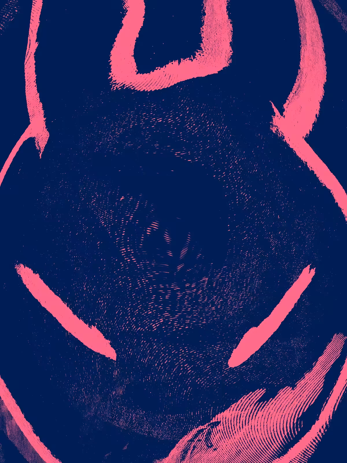 CONEJO 04