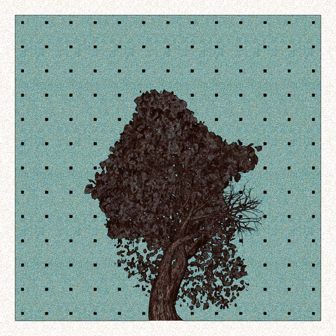 _argania[primaria] #232