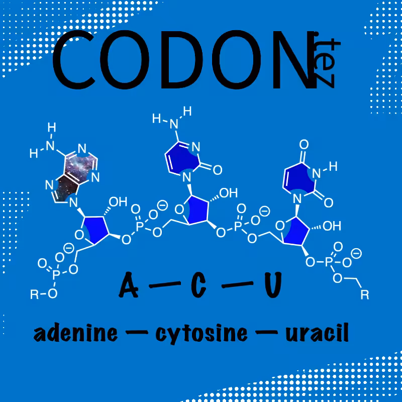 Codon Minter #23