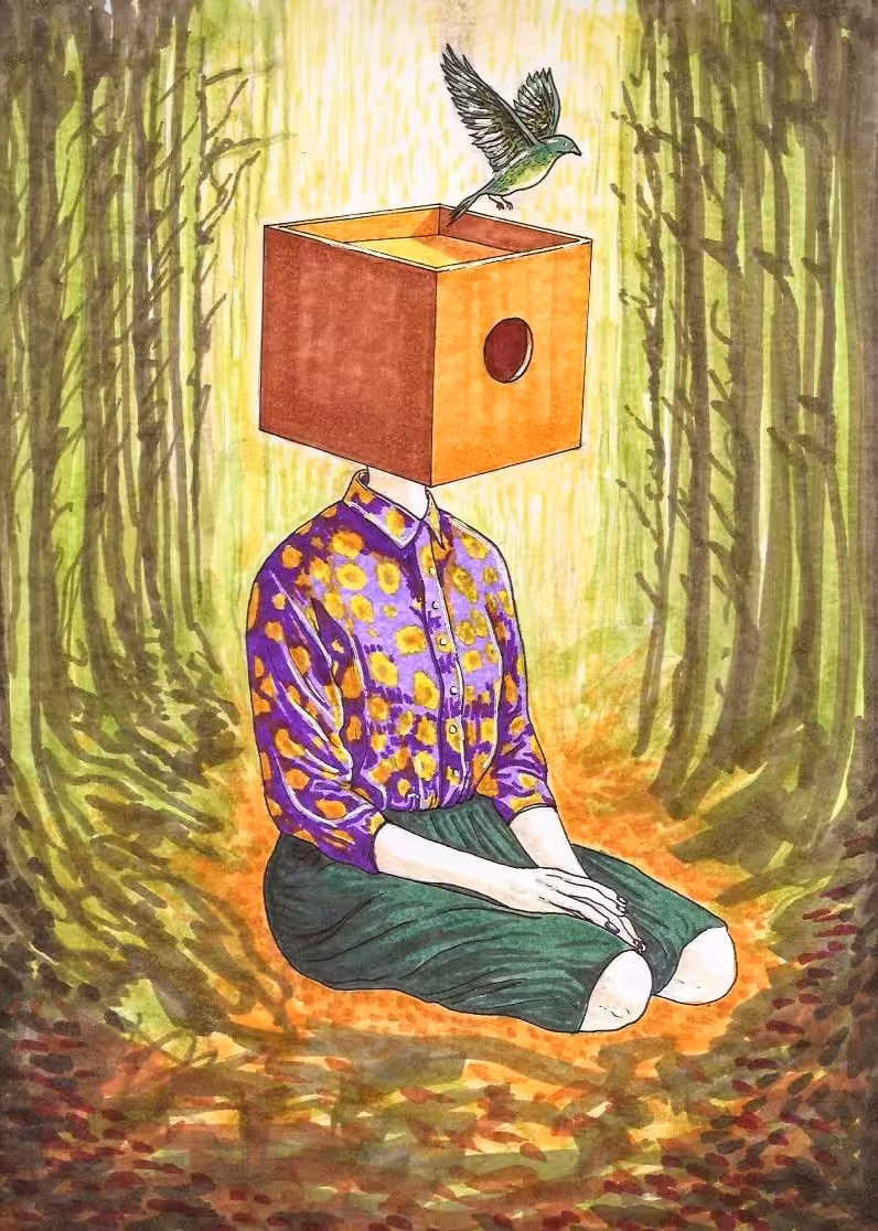 Mind is a Box