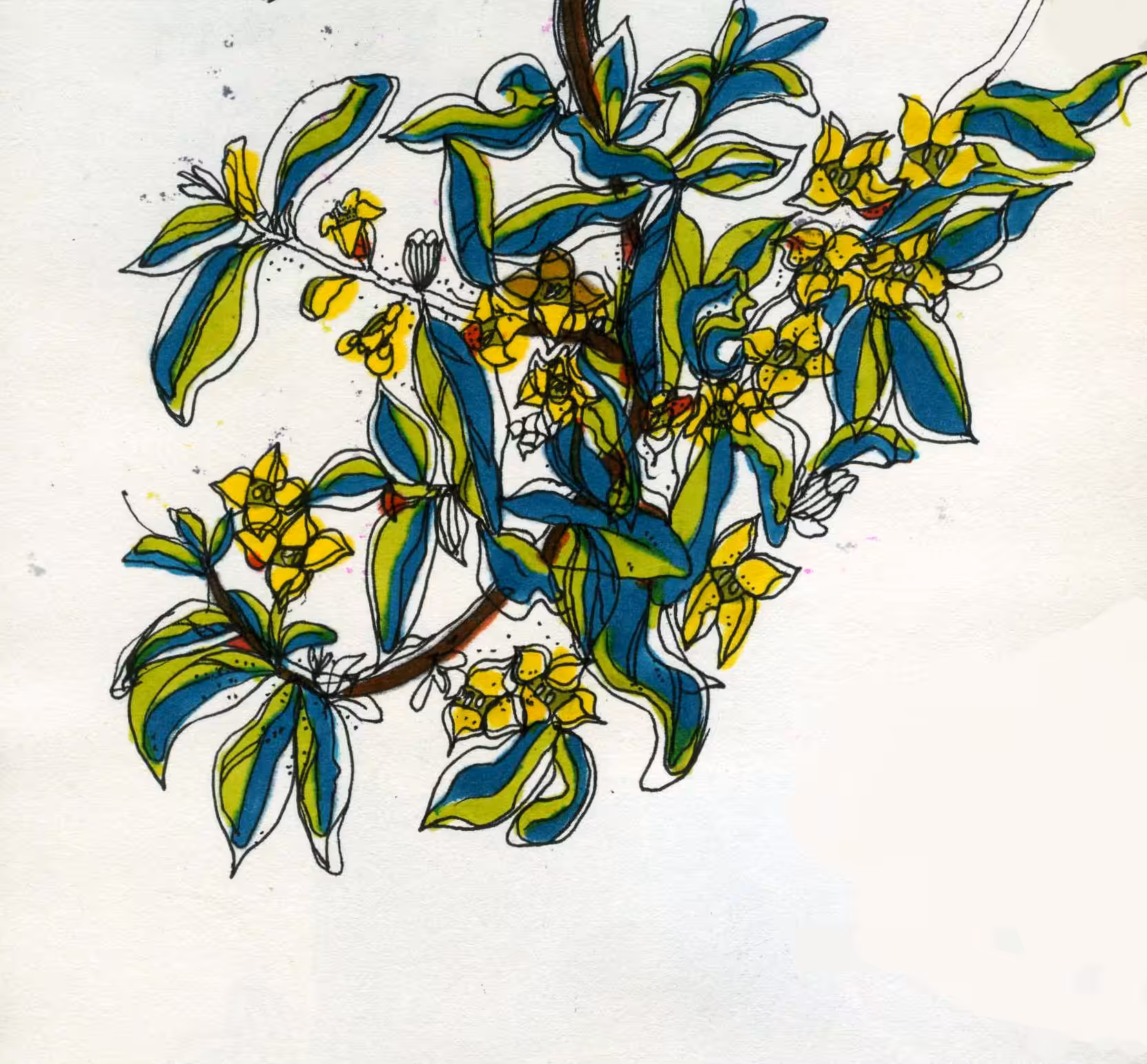 Spring